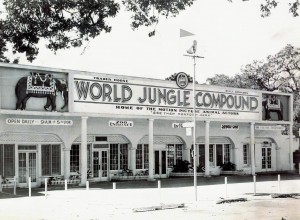 world-jungle-compound