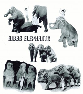 gibbs-elephants