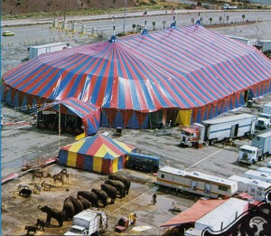 vargas-circus