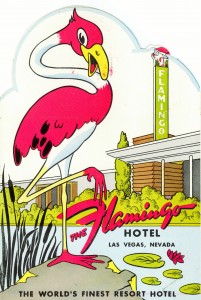 flamingo-cover