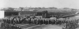 ringling_brothers_trains