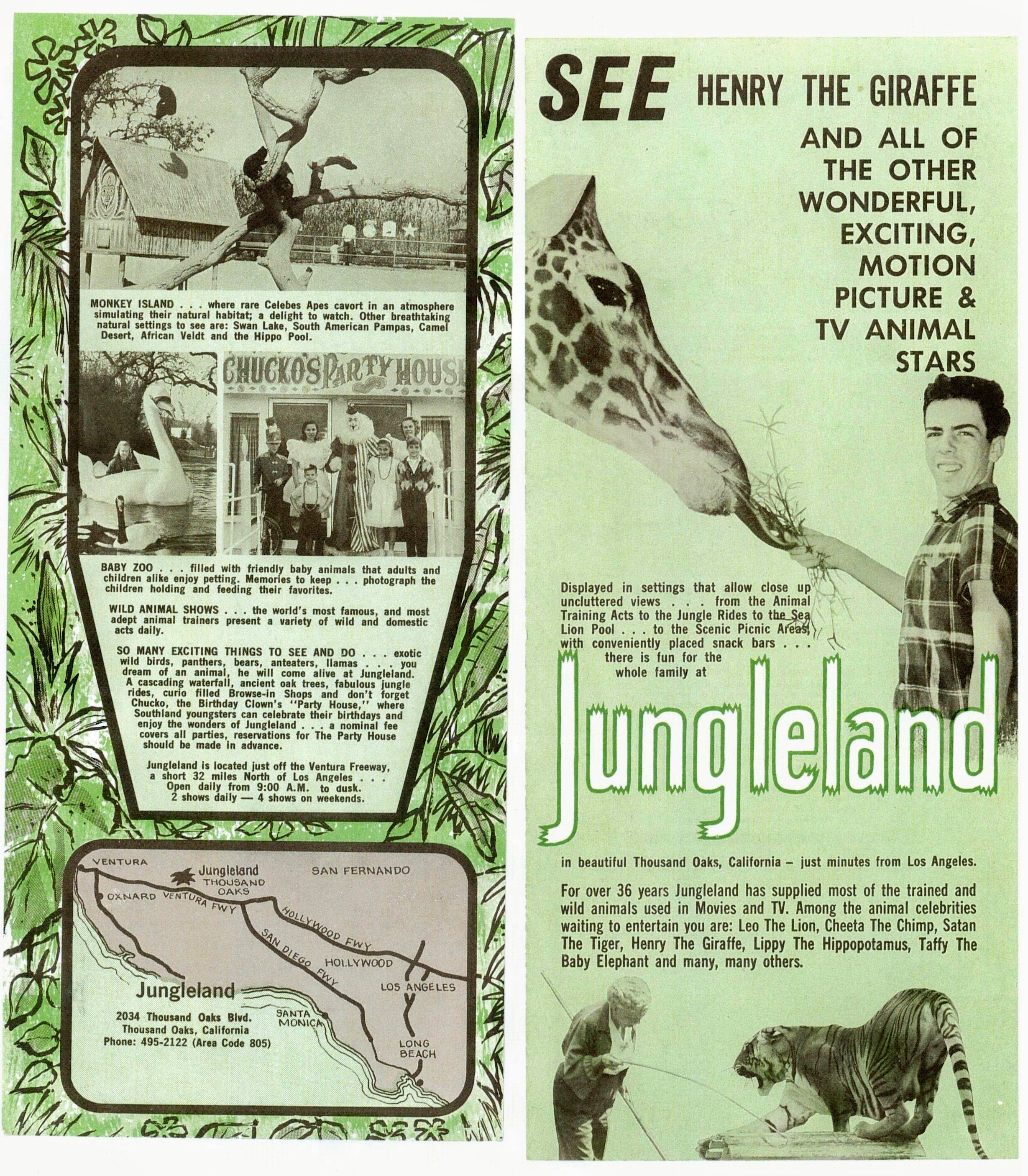 jungleland-2-brochure