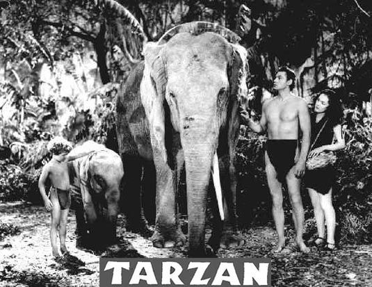 tarzan-4