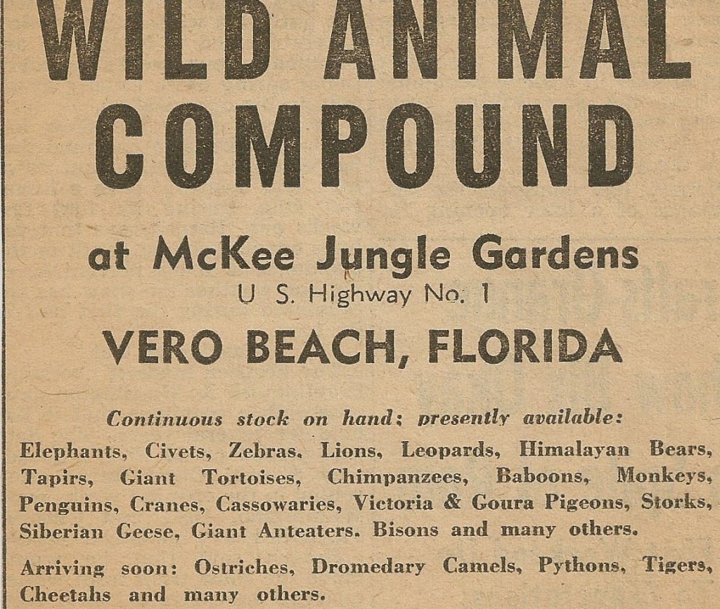 vero-beach-animal-compund