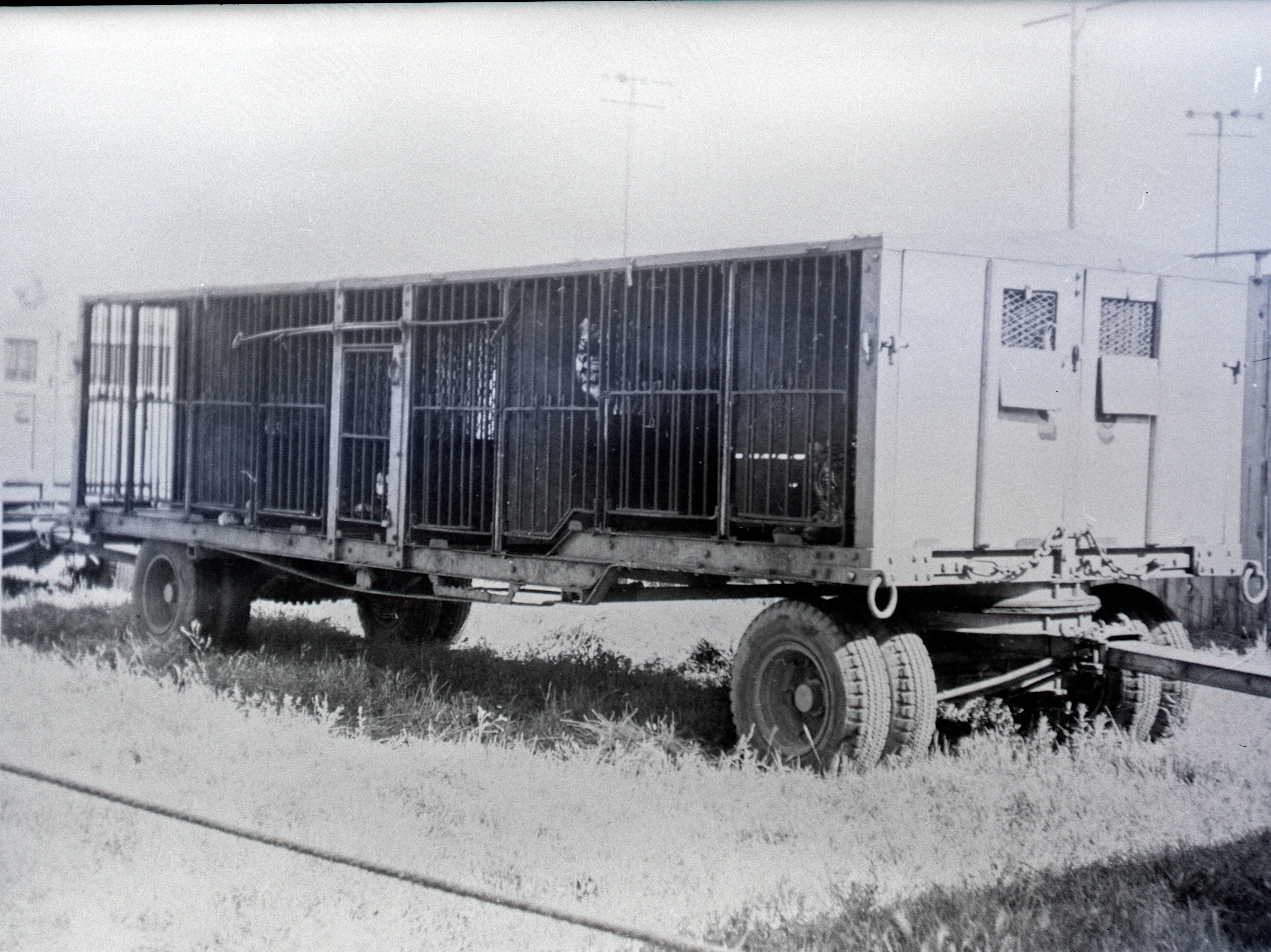 Ringling Bros  Barnum and Bailey  Long Cage 1938 Posted 1 of 13