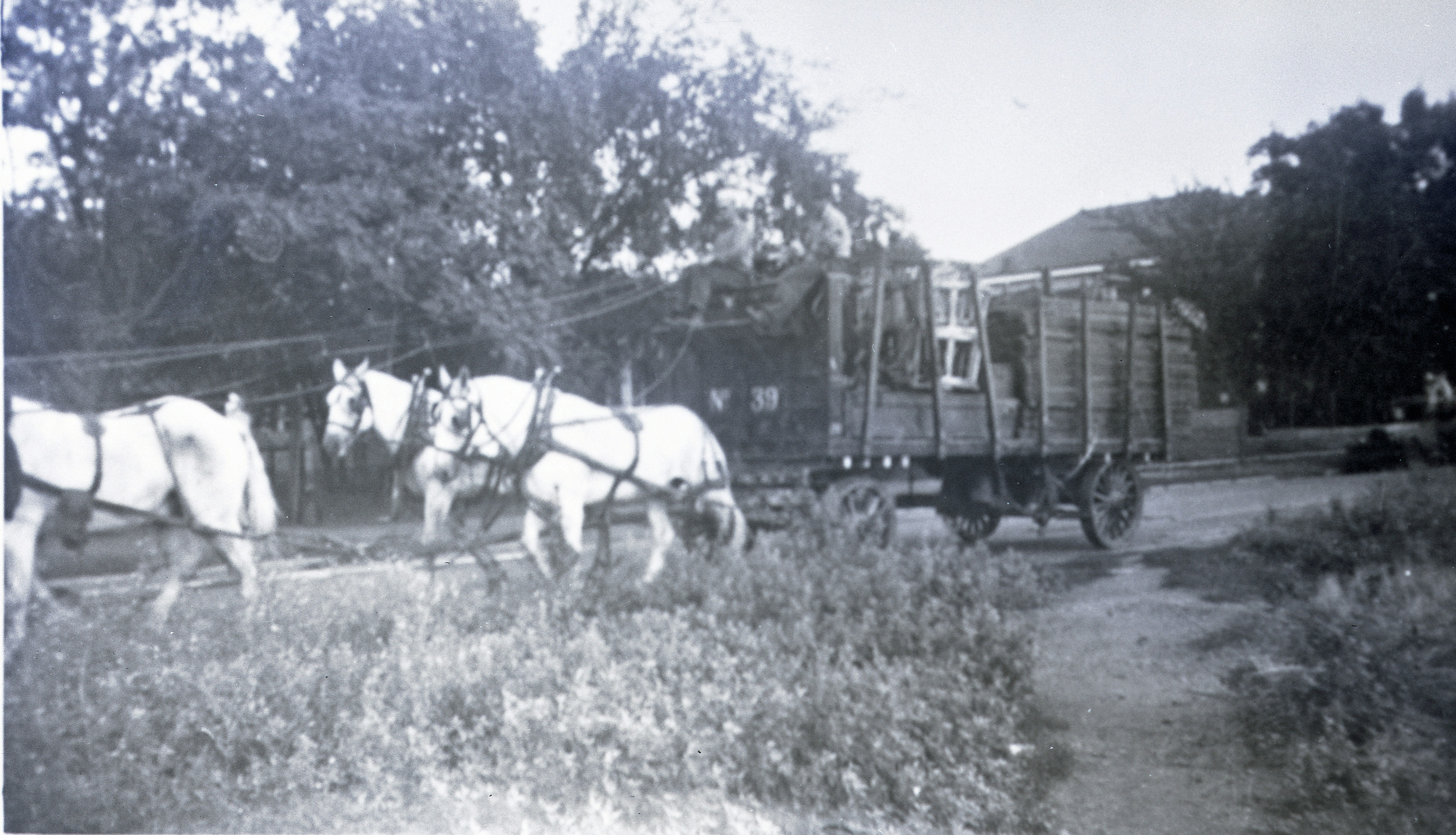 Ringling Bros Barnum   Bailey  1934  4 Horse hitch with wagon Posted 2-of 13