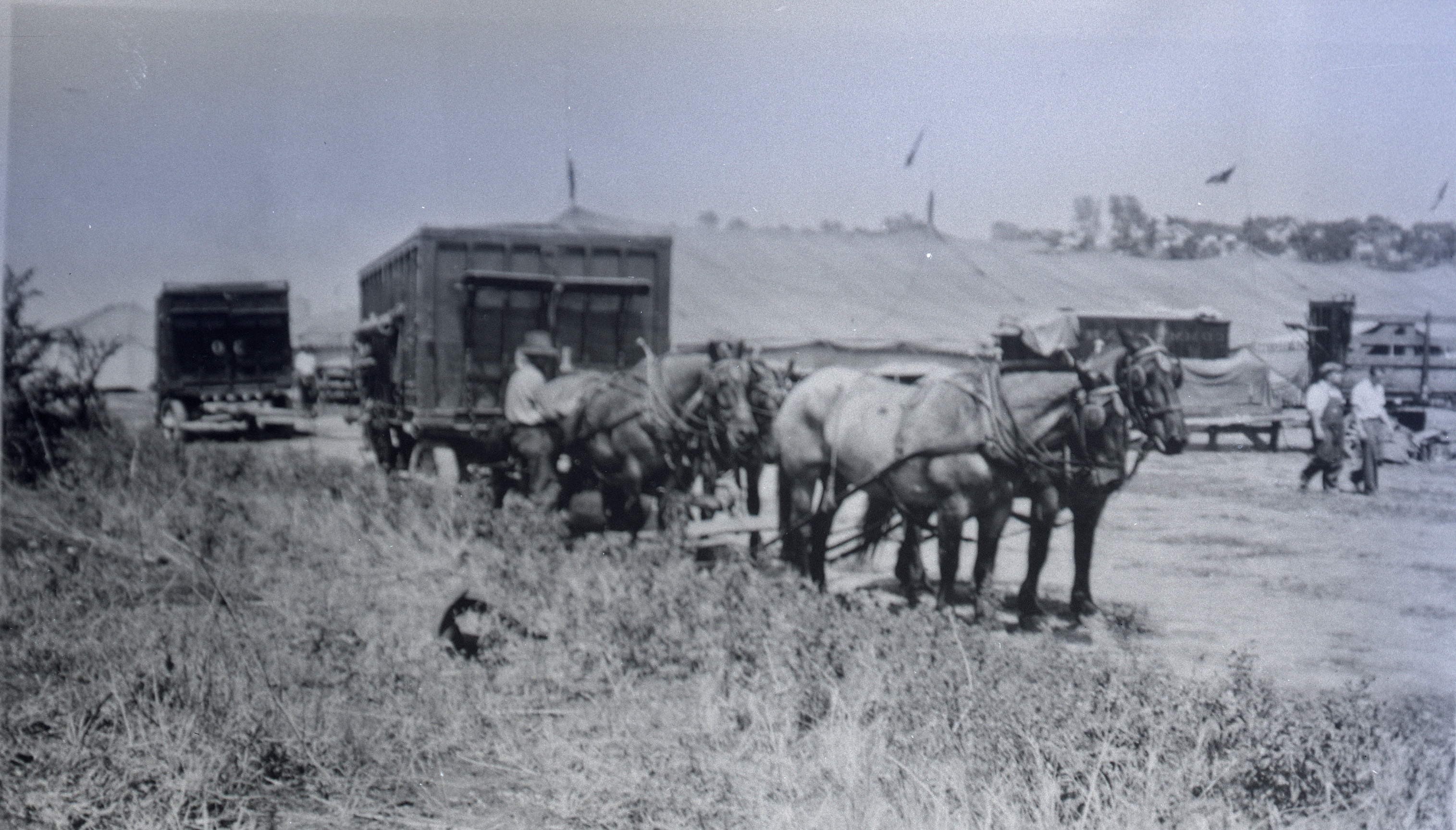 Ringling Bros Barnum   Bailey  1935 Wagon with 6  horse hitch going to lot Posted 2-of 13