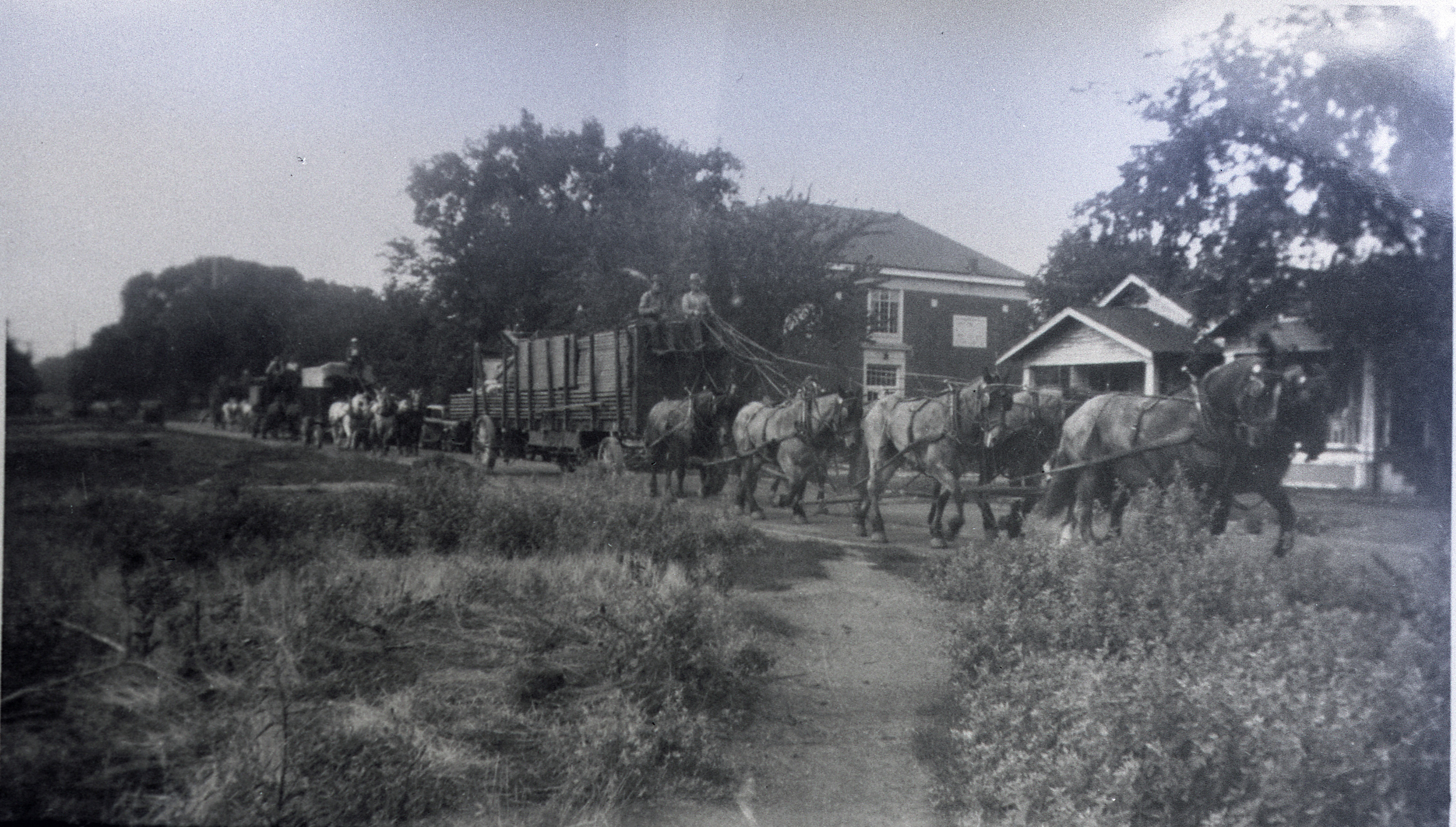 Ringling Bros Barnum   Bailey  1936  8 Horse hitch with wagon Posted 2-of 13