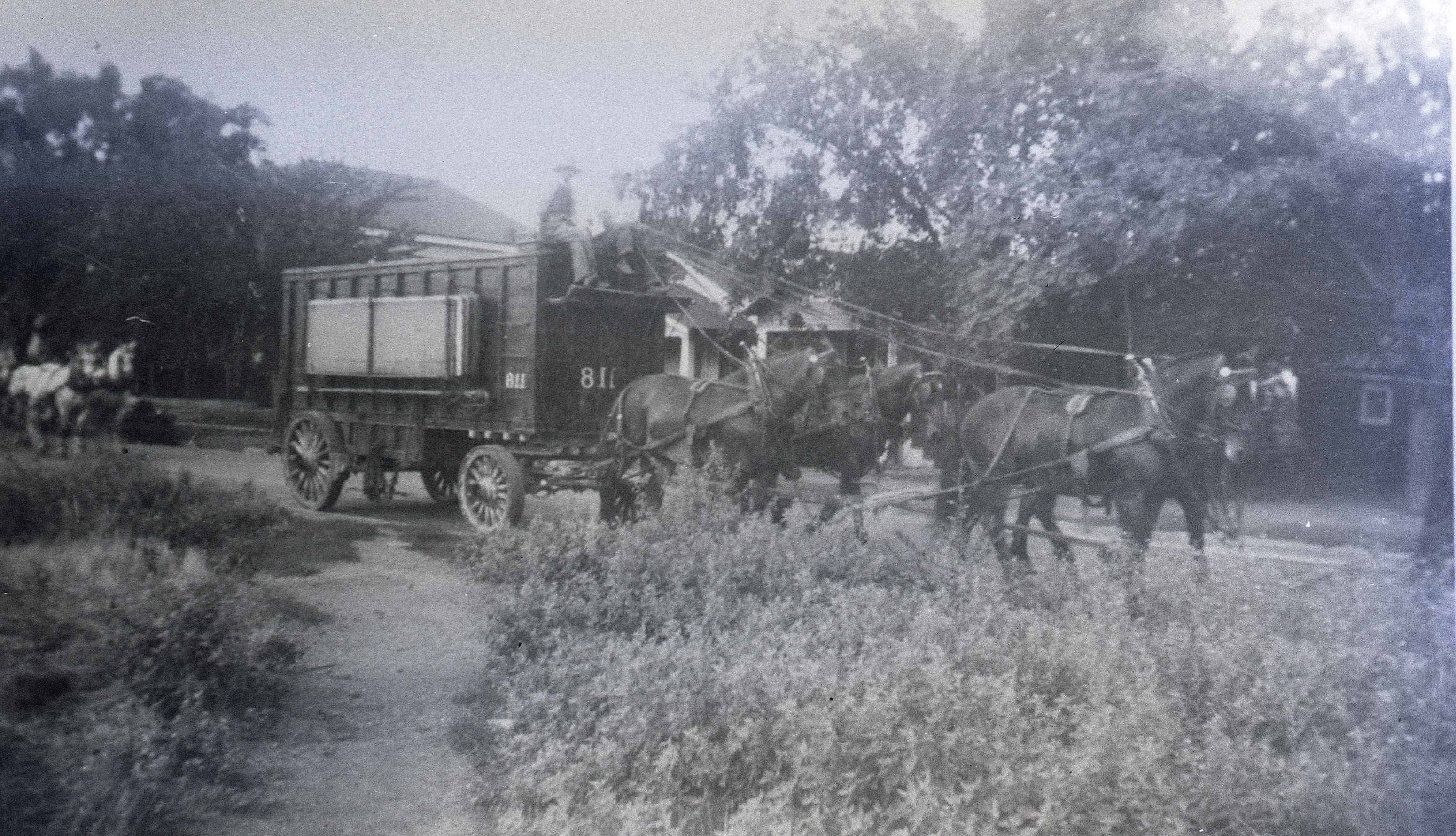 Ringling Bros Barnum   Bailey  1936  Black Team Horse hitch with wagon Posted 2-of 13