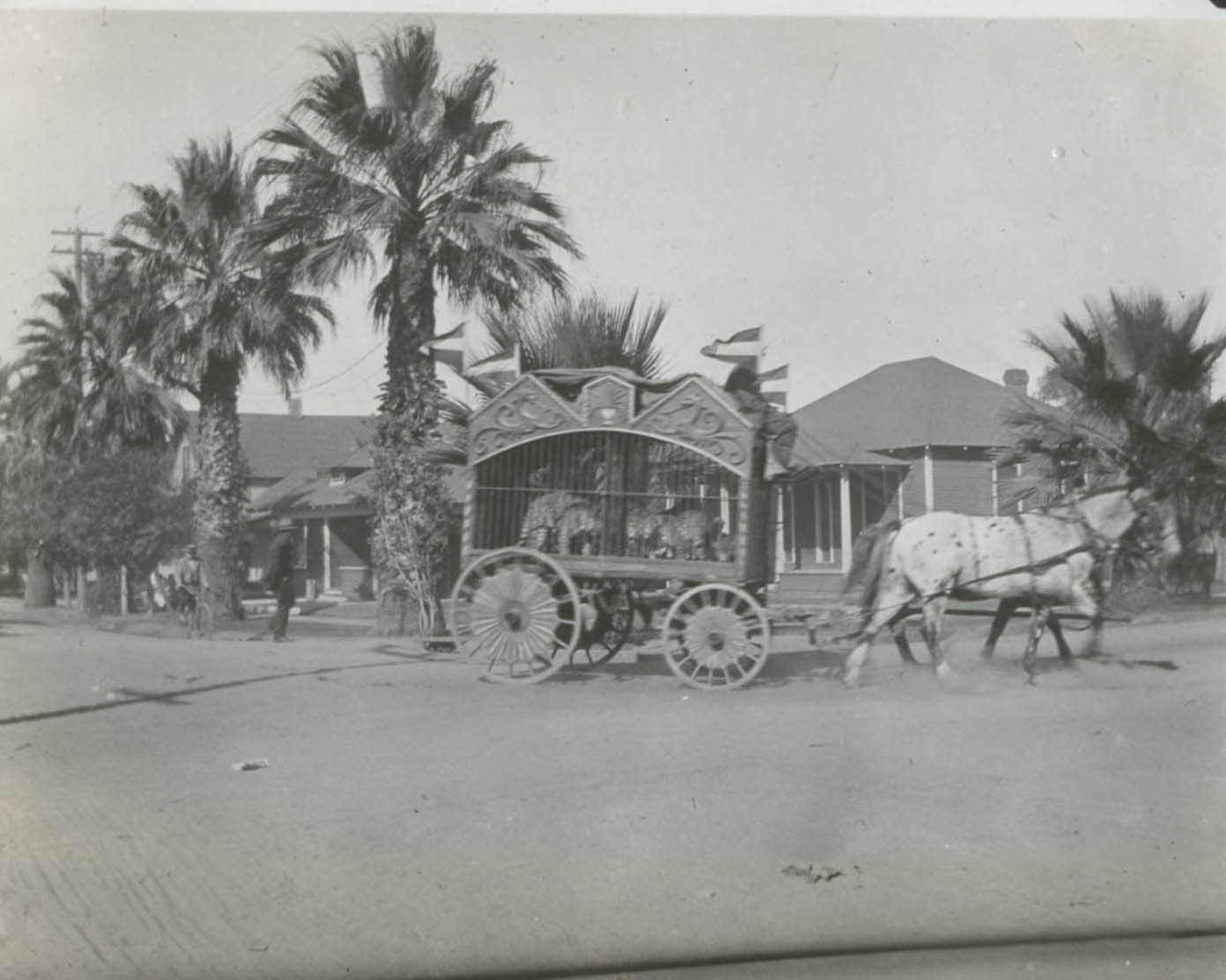 24A_-_Al_G._barnes_Circus_parade_in_Riverside,_CA_in_1917_-_Bob_Taber_collection